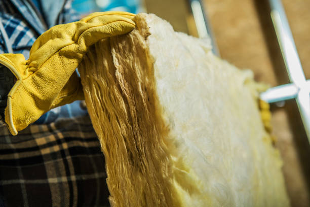Best Commercial Insulation in Glenwood, AR